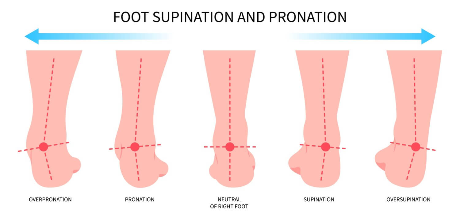 Illustrated diagram showing the supination and pronation of feet