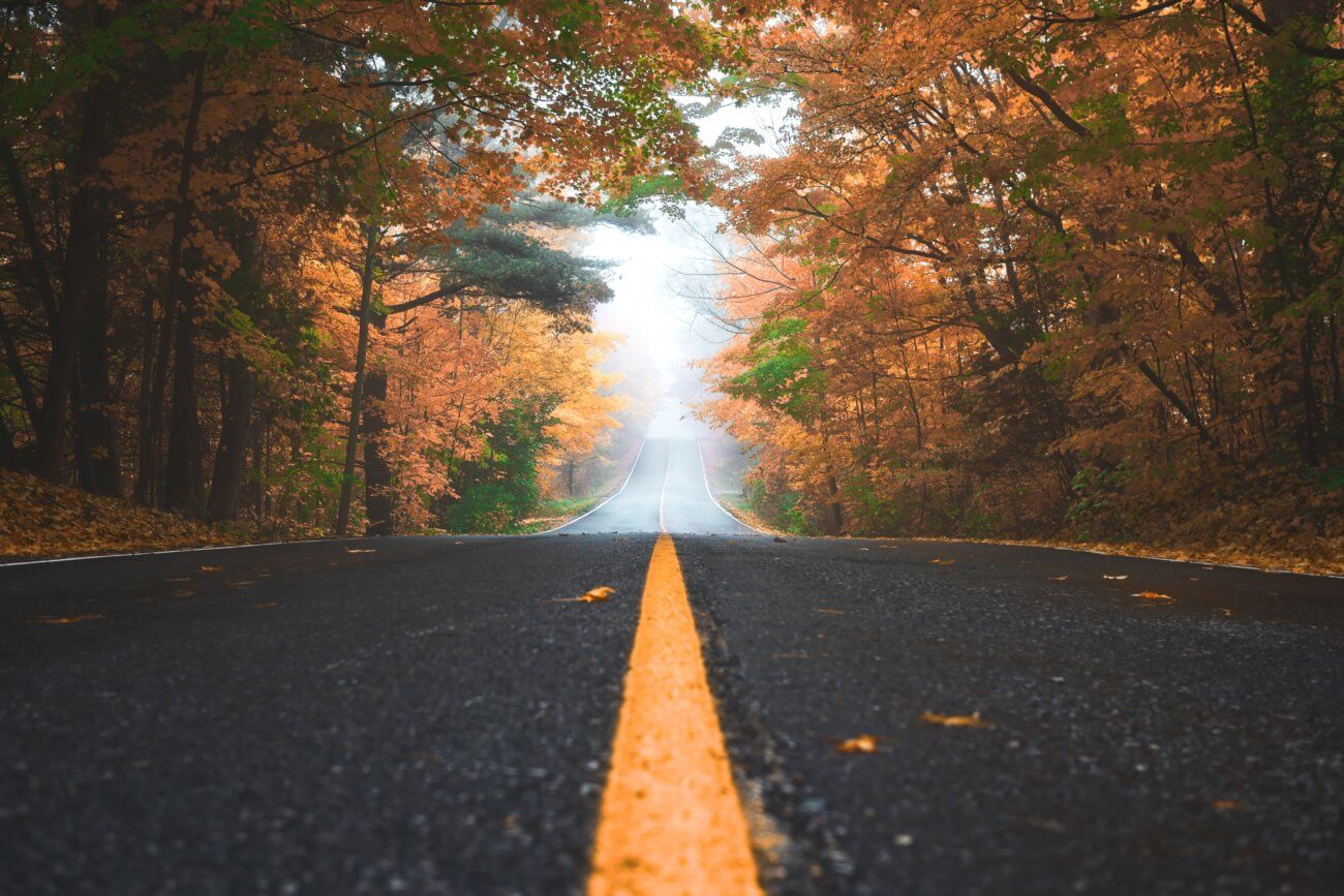 Road stretching into distance between autumn trees