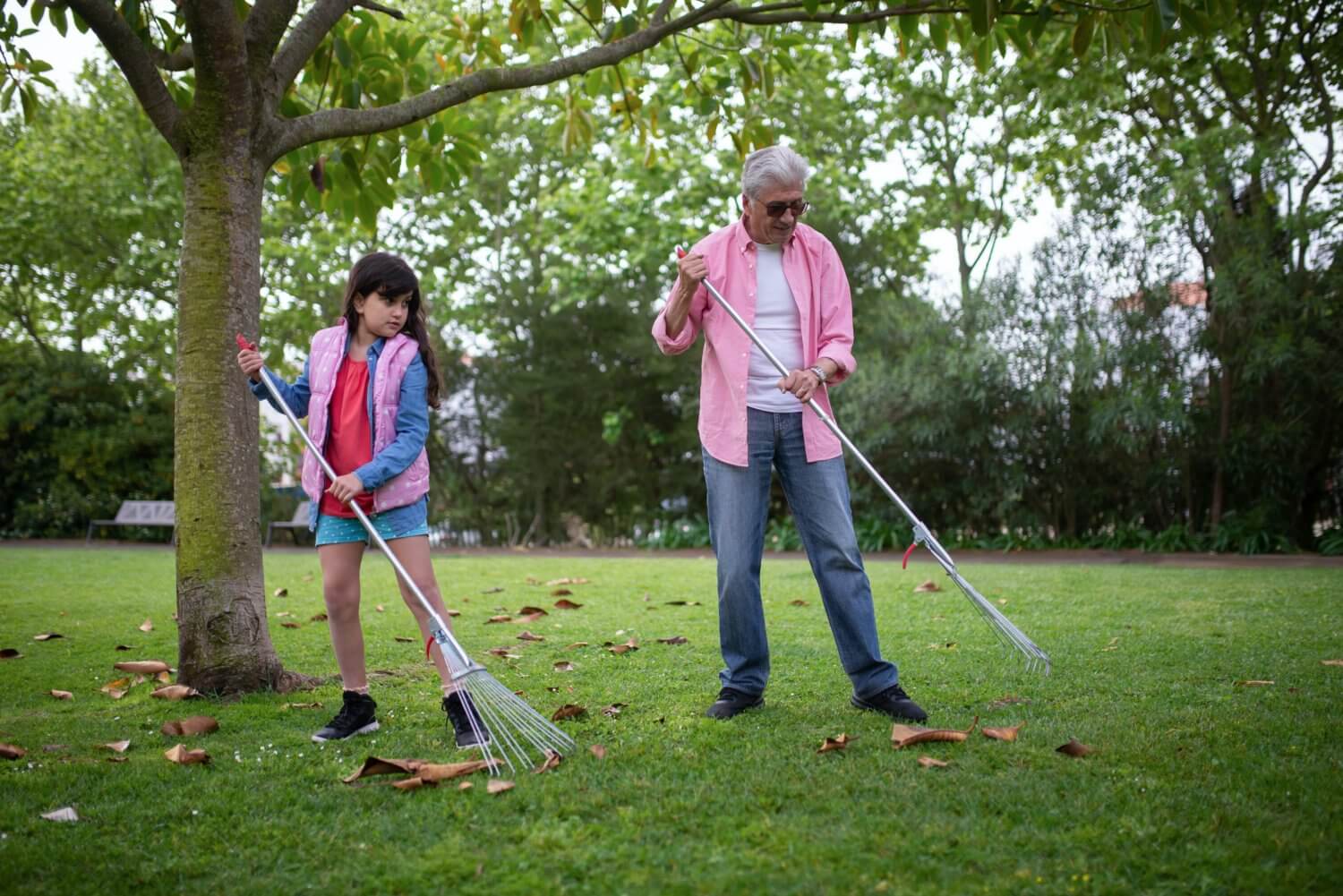 Middle age man and young girl raking leaves in a yard