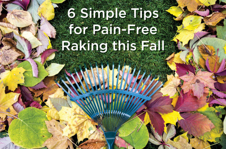 Blue rake pulling fall leaves down to reveal path of green grass beneath displaying blog title