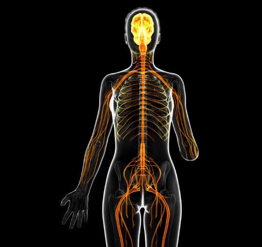 Phantom Limb Pain | Causes, Symptoms, And Treatments