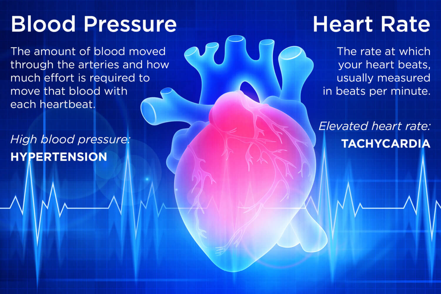 Can You Have High Blood Pressure And Regular Heart Rate