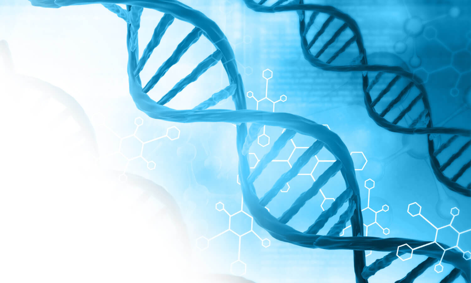 Two blue DNA double helices over a diagram of DNA molecules