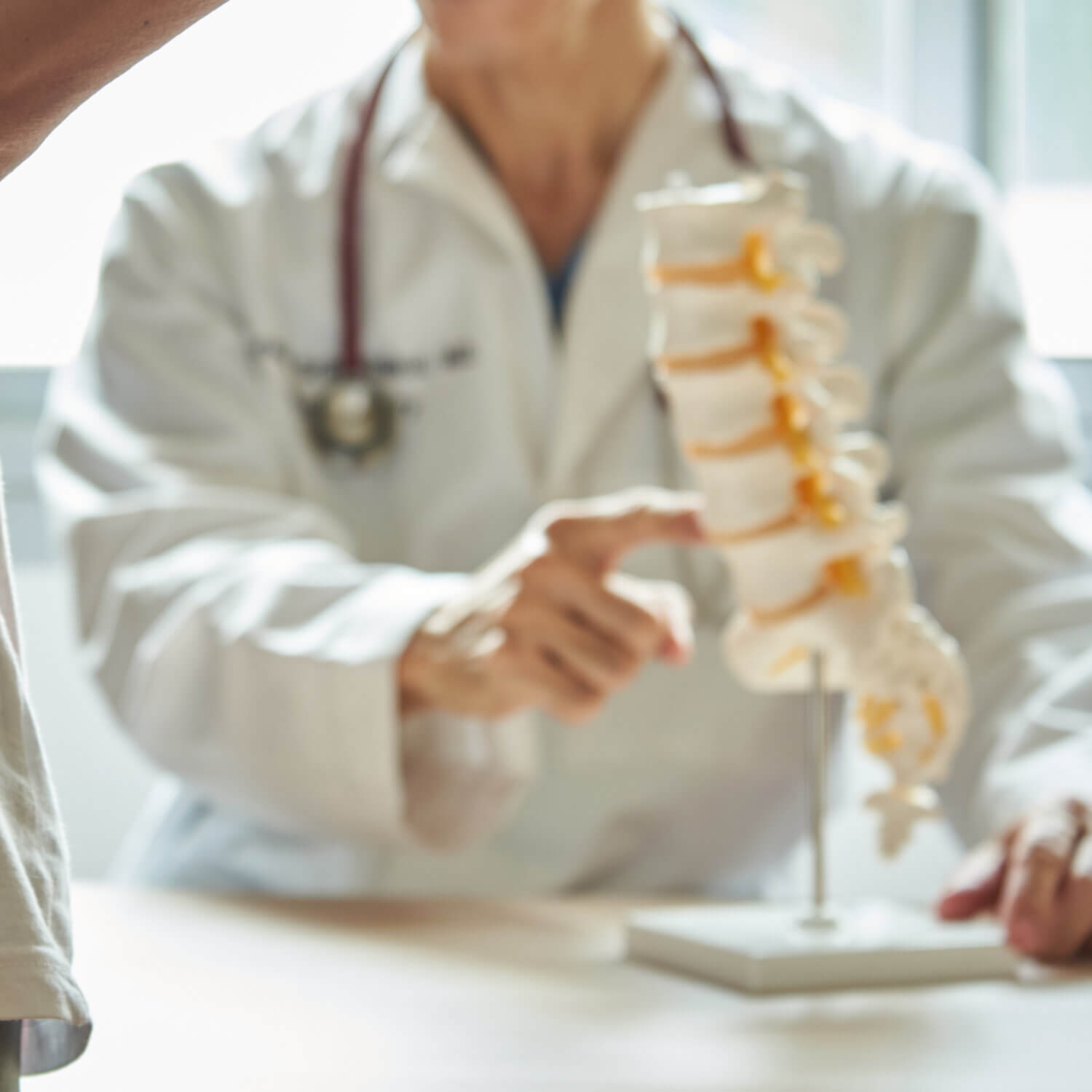 Close up of a doctor pointing to a model of the spine