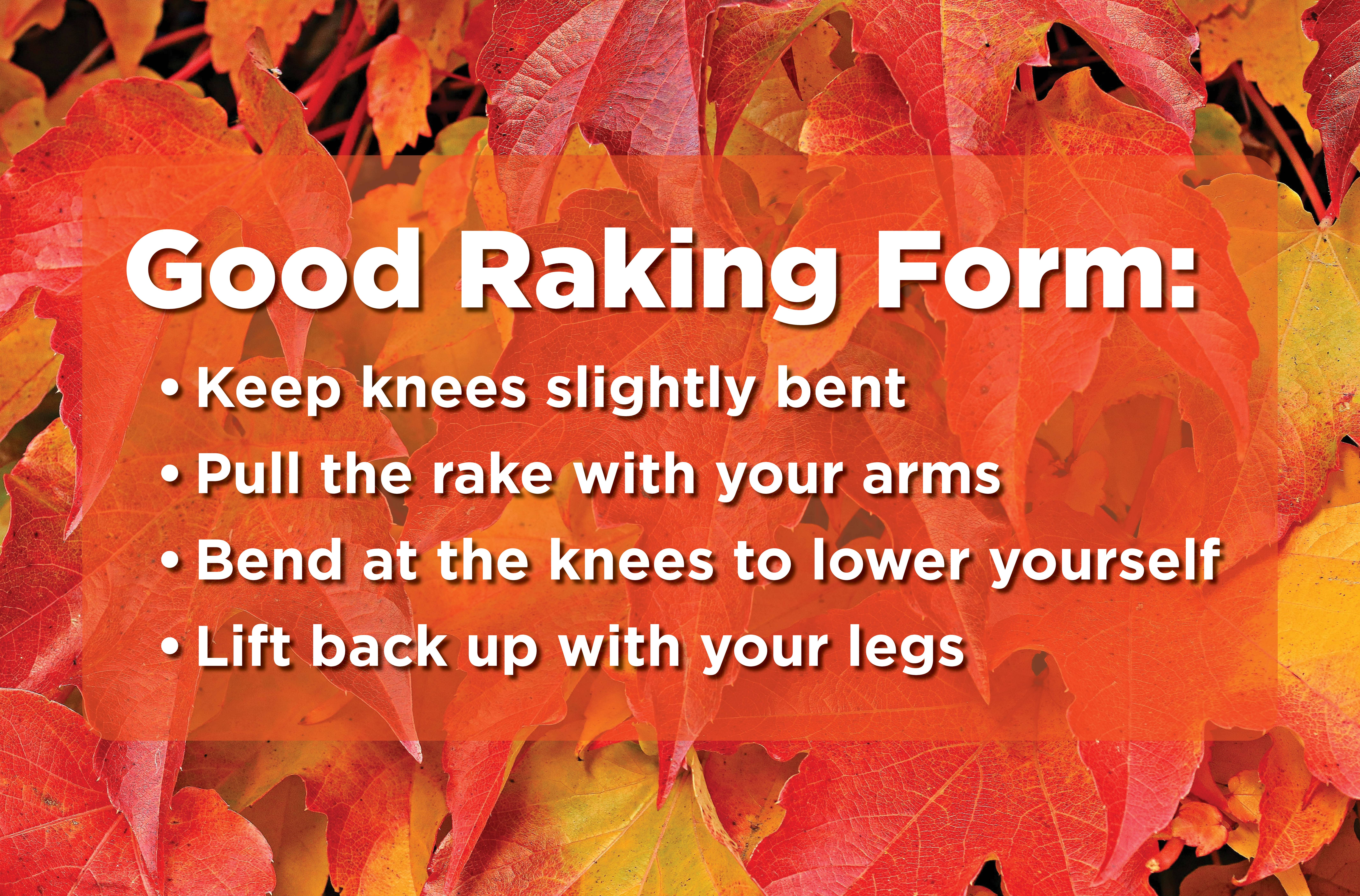 Ground covered with fallen leaves behind list of tips for good raking form