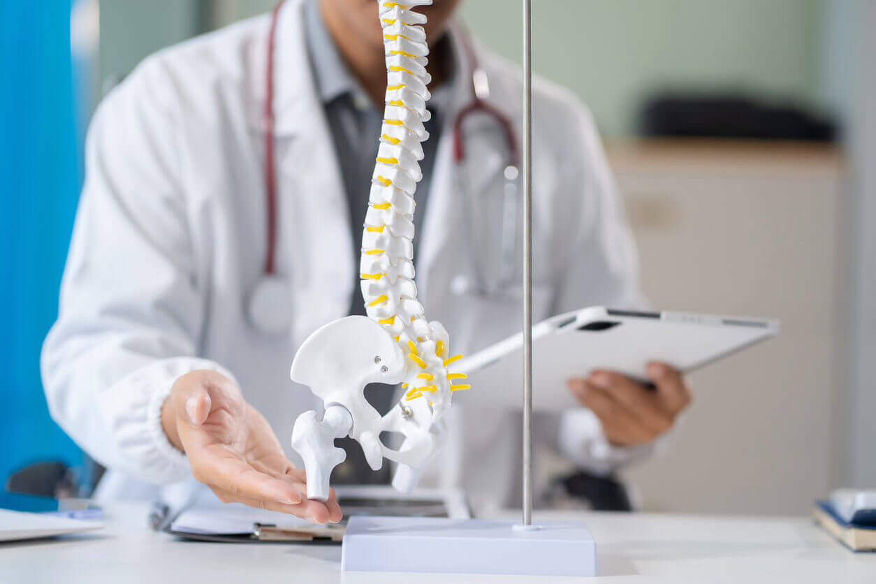 Doctor in white coat gesturing toward a model of the human spine